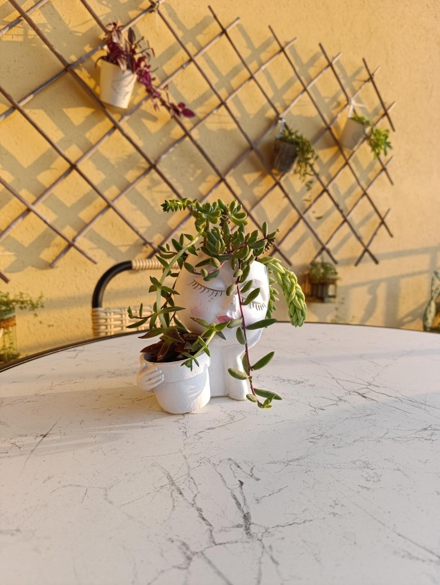 Ferula Loft Bed & Breakfast Sortino Екстериор снимка